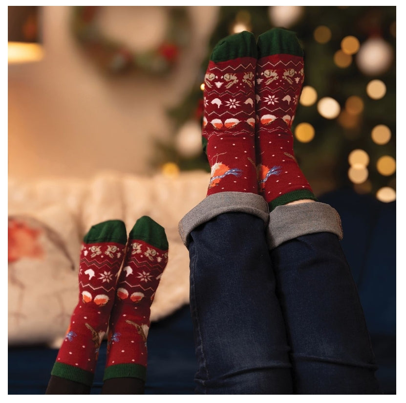 'Season's Tweetings' Robin Children's Socks