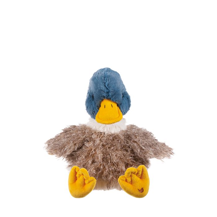 'Webster' duck Character