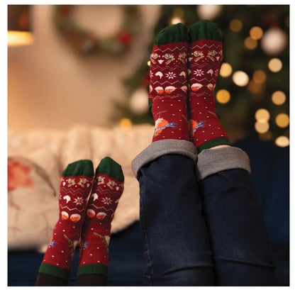 'Season's Tweetings' Robin Socks