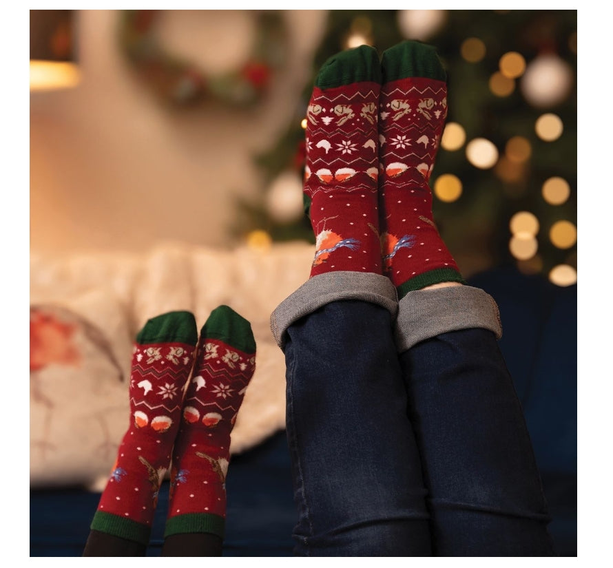 'Season's Tweetings' Robin Men's Socks