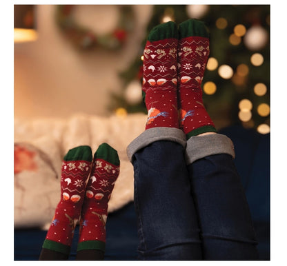 'Season's Tweetings' Robin Men's Socks
