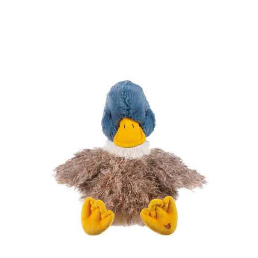 'Webster' duck Character